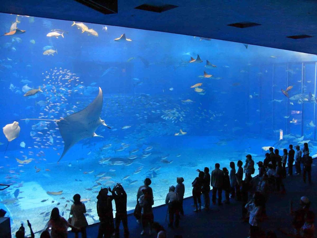 ホテル パームツリーヒル 沖縄市 エクステリア 写真